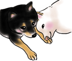 Black-Shiba and White Shiba Dog Sticker sticker #4246247