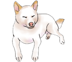 Black-Shiba and White Shiba Dog Sticker sticker #4246248
