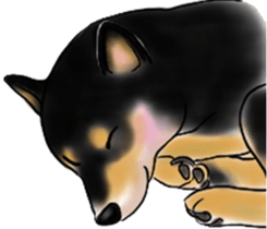 Black-Shiba and White Shiba Dog Sticker sticker #4246249