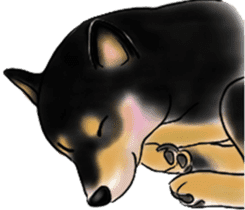 Black-Shiba and White Shiba Dog Sticker sticker #4246249