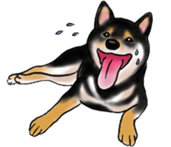 Black-Shiba and White Shiba Dog Sticker sticker #4246251