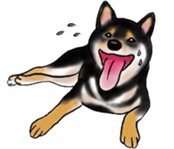 Black-Shiba and White Shiba Dog Sticker sticker #4246251