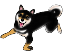 Black-Shiba and White Shiba Dog Sticker sticker #4246253