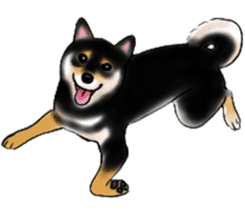 Black-Shiba and White Shiba Dog Sticker sticker #4246253