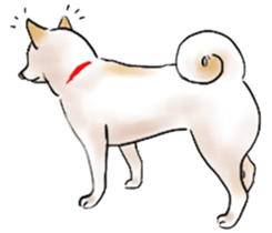 Black-Shiba and White Shiba Dog Sticker sticker #4246254