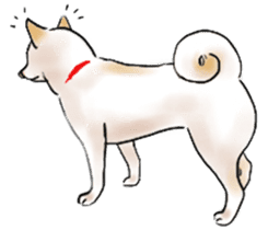 Black-Shiba and White Shiba Dog Sticker sticker #4246254