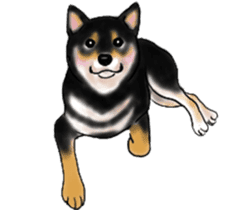Black-Shiba and White Shiba Dog Sticker sticker #4246255