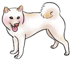 Black-Shiba and White Shiba Dog Sticker sticker #4246256
