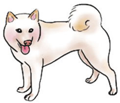 Black-Shiba and White Shiba Dog Sticker sticker #4246256
