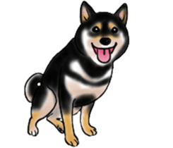 Black-Shiba and White Shiba Dog Sticker sticker #4246257