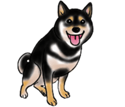 Black-Shiba and White Shiba Dog Sticker sticker #4246257