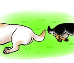 Black-Shiba and White Shiba Dog Sticker sticker #4246258