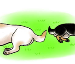 Black-Shiba and White Shiba Dog Sticker sticker #4246258