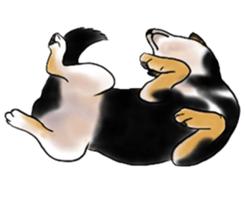 Black-Shiba and White Shiba Dog Sticker sticker #4246259