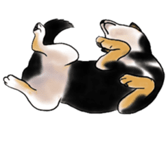 Black-Shiba and White Shiba Dog Sticker sticker #4246259