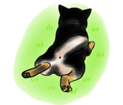 Black-Shiba and White Shiba Dog Sticker sticker #4246261