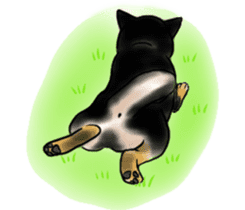 Black-Shiba and White Shiba Dog Sticker sticker #4246261