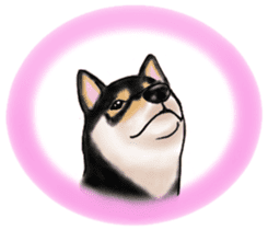 Black-Shiba and White Shiba Dog Sticker sticker #4246263
