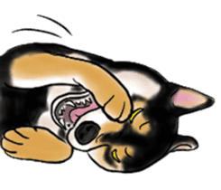 Black-Shiba and White Shiba Dog Sticker sticker #4246265