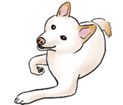 Black-Shiba and White Shiba Dog Sticker sticker #4246266