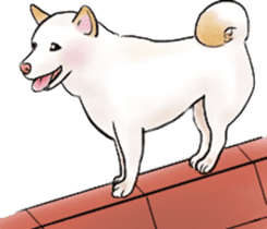 Black-Shiba and White Shiba Dog Sticker sticker #4246268