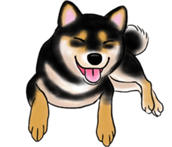 Black-Shiba and White Shiba Dog Sticker sticker #4246269