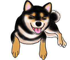 Black-Shiba and White Shiba Dog Sticker sticker #4246269