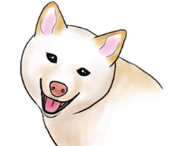 Black-Shiba and White Shiba Dog Sticker sticker #4246270