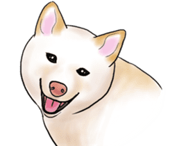 Black-Shiba and White Shiba Dog Sticker sticker #4246270