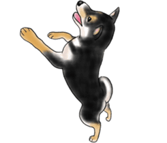 Black-Shiba and White Shiba Dog Sticker sticker #4246271