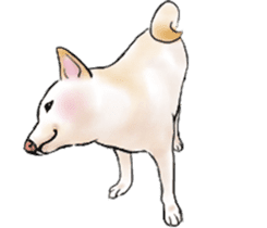 Black-Shiba and White Shiba Dog Sticker sticker #4246272