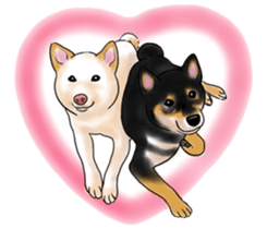 Black-Shiba and White Shiba Dog Sticker sticker #4246274