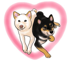 Black-Shiba and White Shiba Dog Sticker sticker #4246274