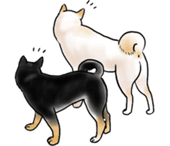 Black-Shiba and White Shiba Dog Sticker sticker #4246276