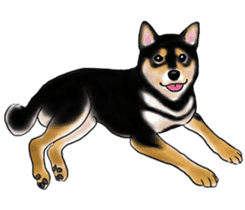 Black-Shiba and White Shiba Dog Sticker sticker #4246279