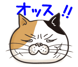 Cat Looks 4 -ugly cat sticker- sticker #4247600