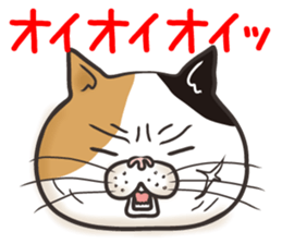 Cat Looks 4 -ugly cat sticker- sticker #4247601