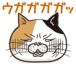 Cat Looks 4 -ugly cat sticker- sticker #4247602