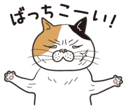 Cat Looks 4 -ugly cat sticker- sticker #4247603