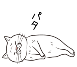 Cat Looks 4 -ugly cat sticker- sticker #4247608