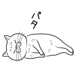 Cat Looks 4 -ugly cat sticker- sticker #4247608