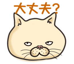 Cat Looks 4 -ugly cat sticker- sticker #4247614