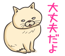 Cat Looks 4 -ugly cat sticker- sticker #4247615