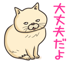 Cat Looks 4 -ugly cat sticker- sticker #4247615