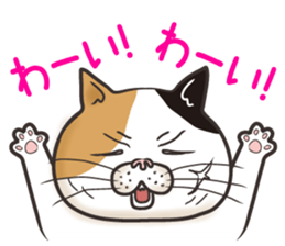 Cat Looks 4 -ugly cat sticker- sticker #4247618