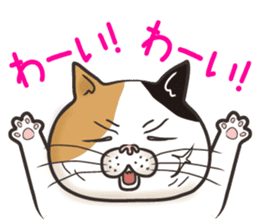 Cat Looks 4 -ugly cat sticker- sticker #4247618