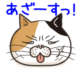 Cat Looks 4 -ugly cat sticker- sticker #4247619