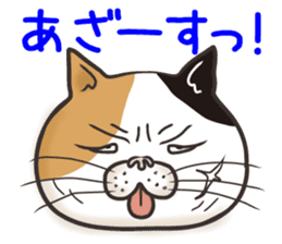 Cat Looks 4 -ugly cat sticker- sticker #4247619
