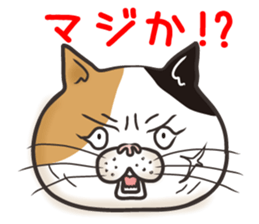 Cat Looks 4 -ugly cat sticker- sticker #4247620