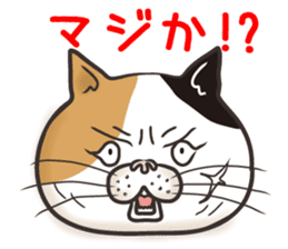 Cat Looks 4 -ugly cat sticker- sticker #4247620